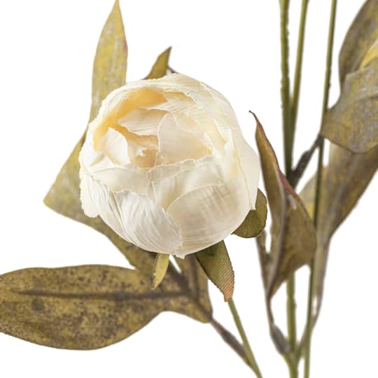 16 Pack: Cream Peony Stem by Ashland®